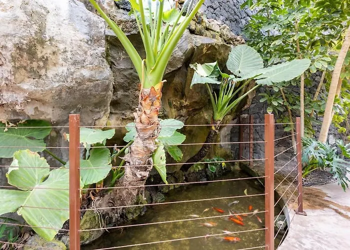 Apartment Garden Serenity Retreat And Workspace With Heated Pools And Gym Palm-mar