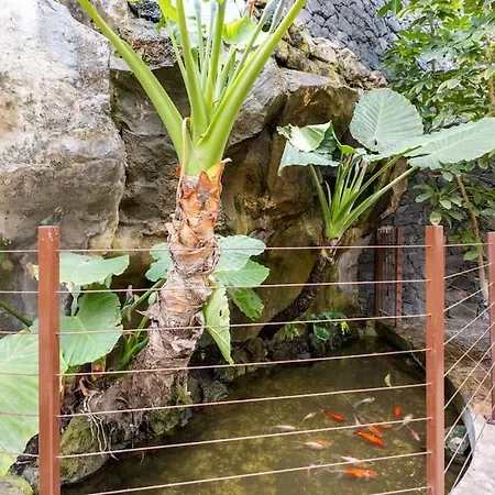 Apartment Garden Serenity Retreat And Workspace With Heated Pools And Gym Palm-mar